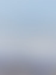 イベント参加・実施情報