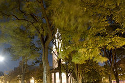 IMG_3750-1.jpg