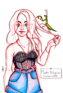 Ink and Pencil on Paper