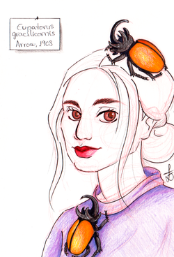 Ink and Pencil on Paper