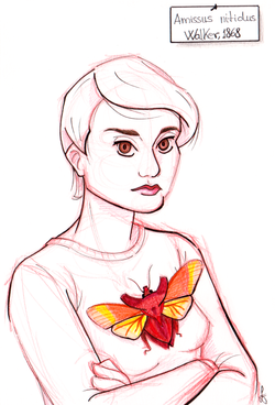 Ink and Pencil on Paper