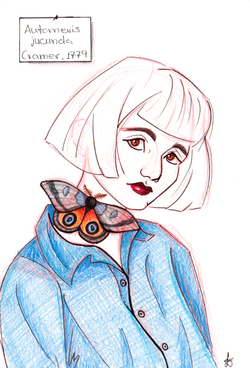 Ink and Pencil on Paper