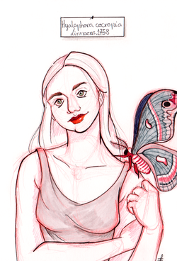 Ink and Pencil on Paper