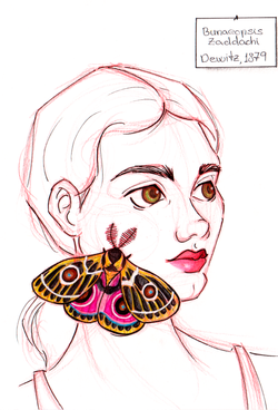 Ink and Pencil on Pap