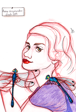 Ink and Pencil on Paper