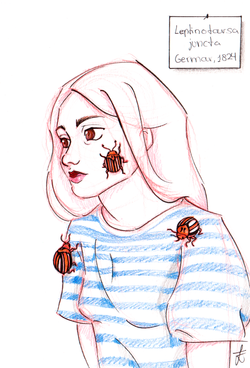 Ink and Pencil on Paper