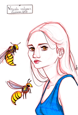 Ink and Pencil on Paper