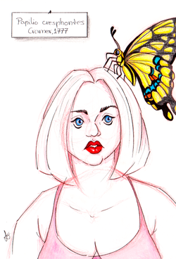 Ink and Pencil on Paper