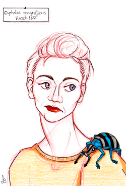 Ink and Pencil on Paper