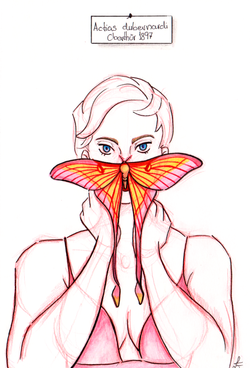 Ink and Pencil on Paper