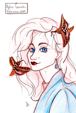 Ink and Pencil on Paper