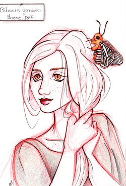 Ink and Pencil on Paper