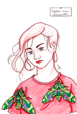 Ink and Pencil on Paper