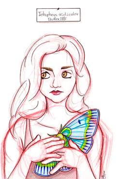 Ink and Pencil on Paper