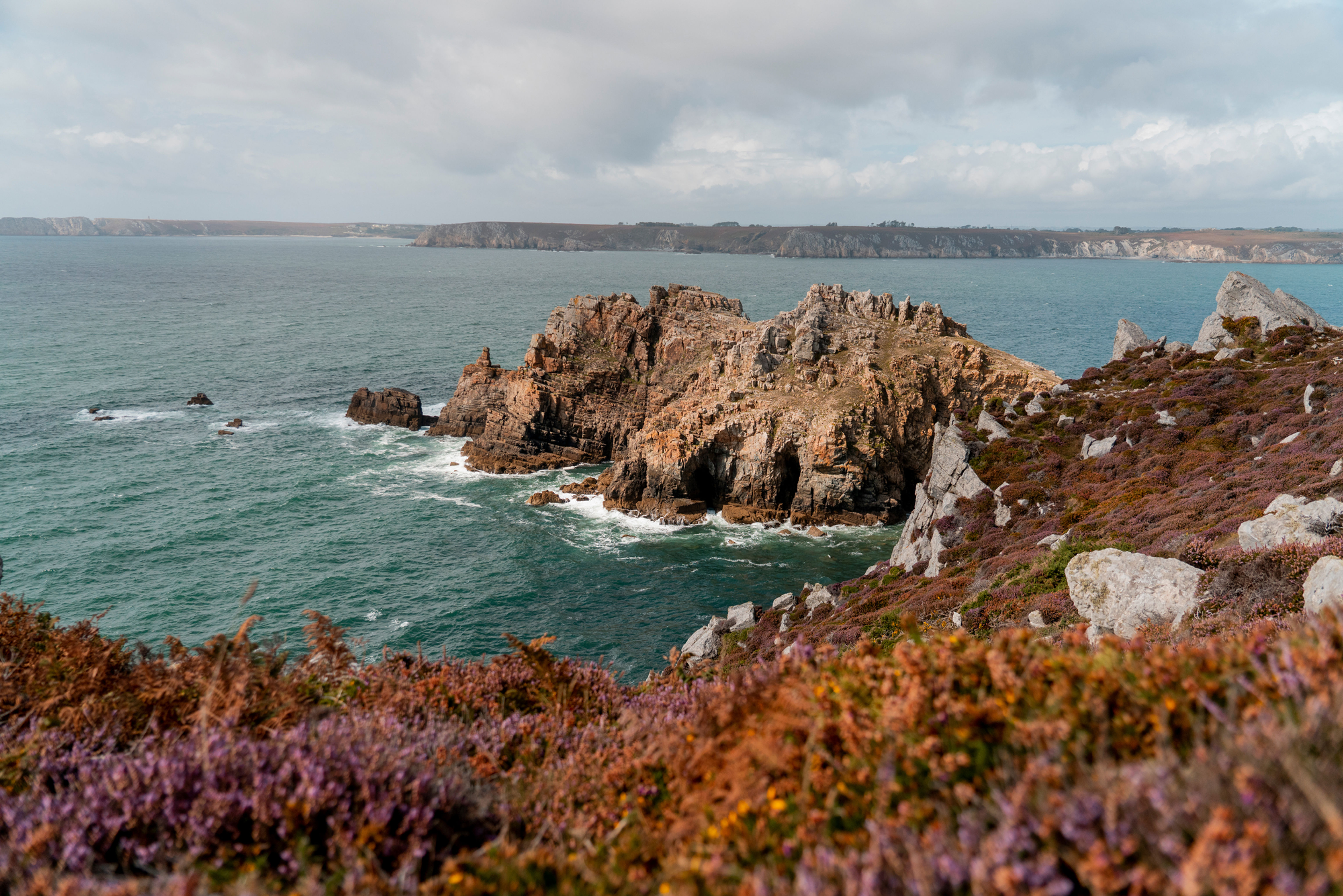 Le Crozon Bretagne La Chronique du Vivant