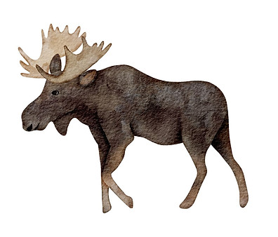 Introduzione ai fiori di Bach.jpg