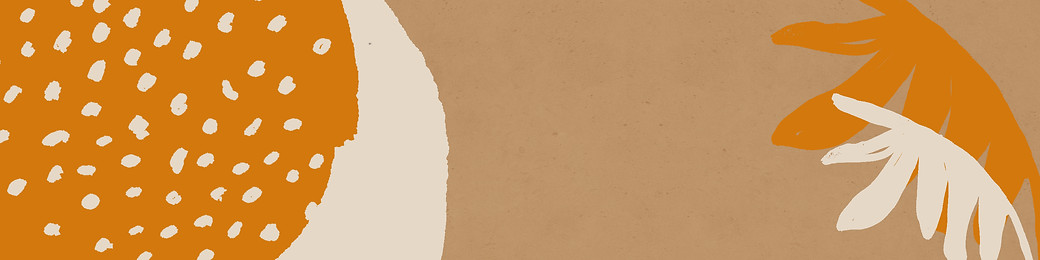 banner for summer collection