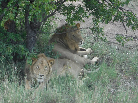 KRUGER NATIONAL PARK 2