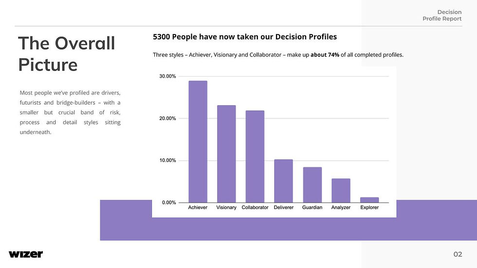 Wizer's Decision Profiles 2025 - An Overview