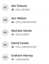 Team Decision Profiles