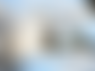 How does a crowd become wise?