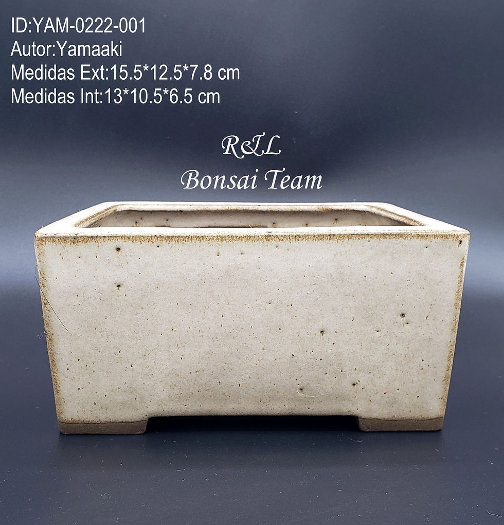 Maceta Bonsai Yamaaki