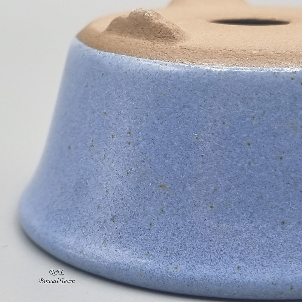 Miniatura: Maceta Cerámica Japonesa 003