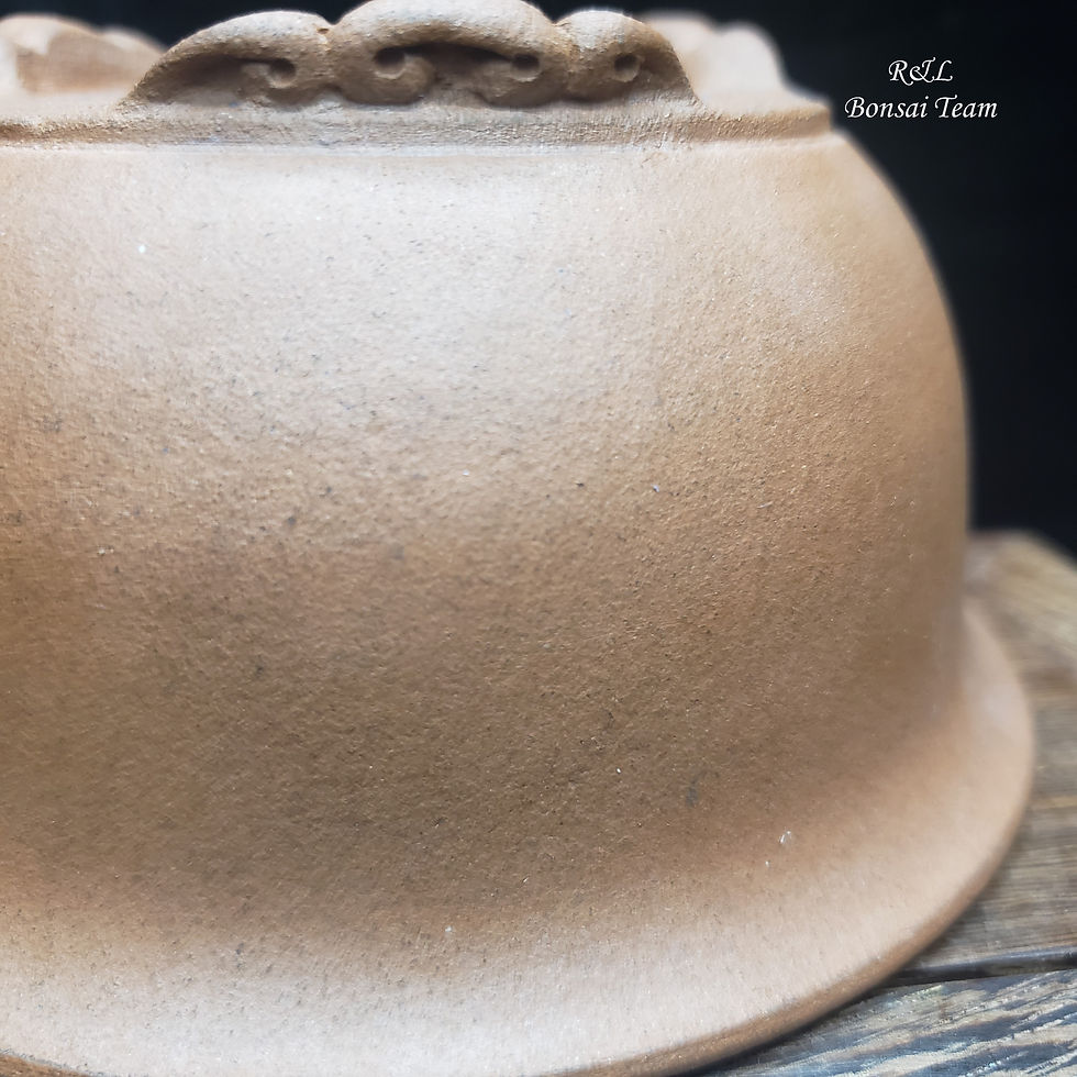 Miniatura: Maceta Bonsai Shikou