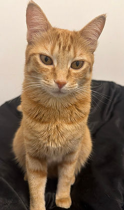 Mimi