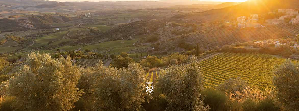 Pop & Taste Partners with Poggio di Sotto: Bringing Iconic Brunello di Montalcino to Portugal
