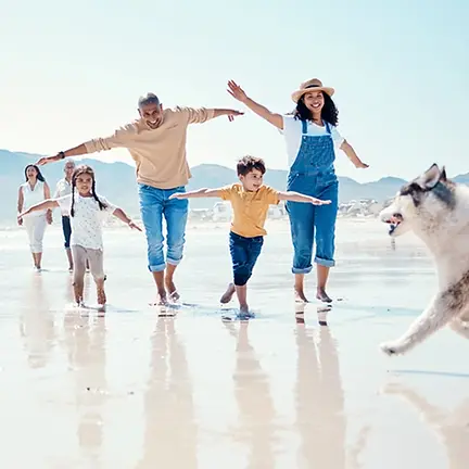 Family