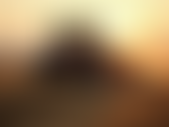 Utilaje agricole noi pentru eficiență maximă