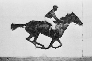 muybridge_race_horse_anim.gif