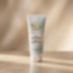 רגיעור פורטה