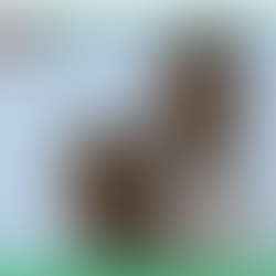 Why you need to include agility training in your gym routine