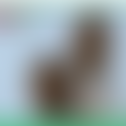 Why you need to include agility training in your gym routine