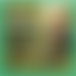 Spring Into Fitness: Why Outdoor Exercise Matters (and Why the Gym Still Counts)