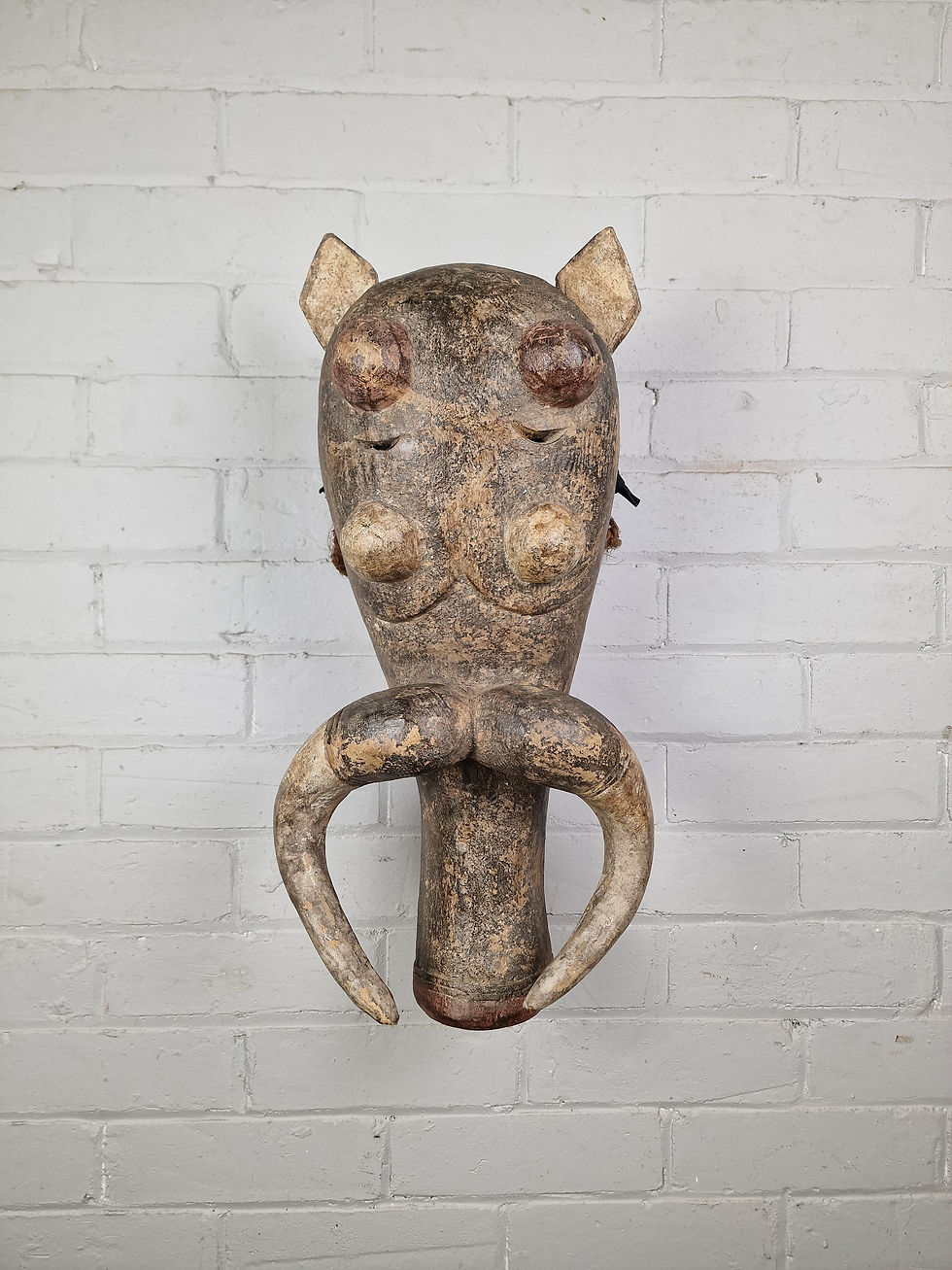Thumbnail: Ligbi People Warthog Mask - Ivory Coast.