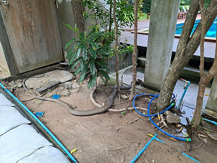 กล่องสีขาว.jpg