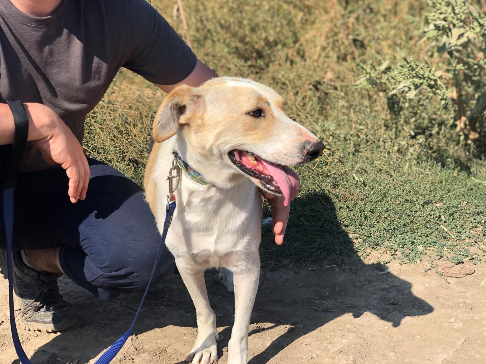 Lucy, born January 2019