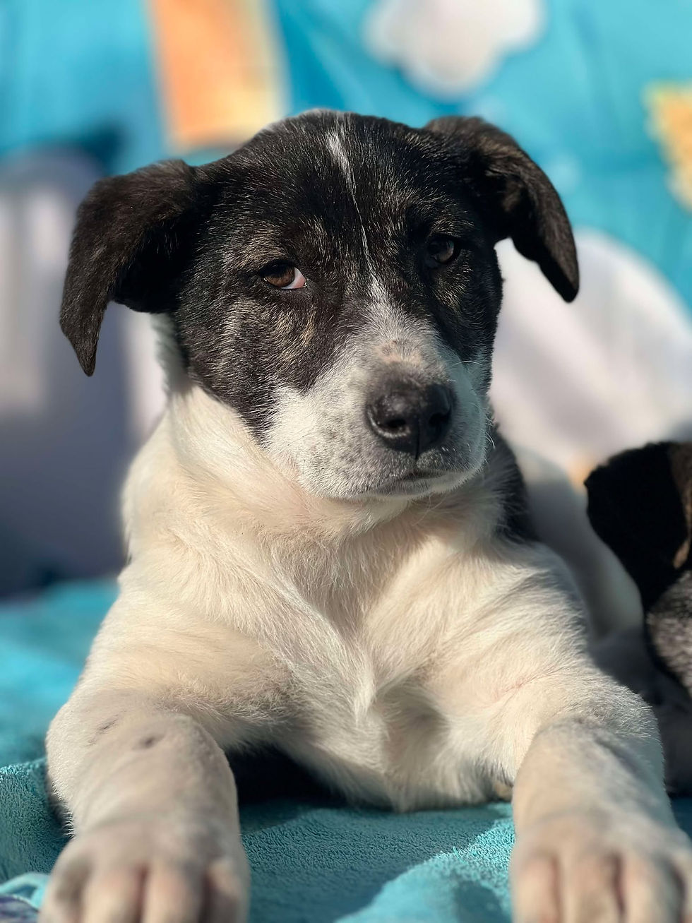 Thumbnail: Bobby, Oct 2024