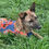 Thumbnail: Minnie, July 2021