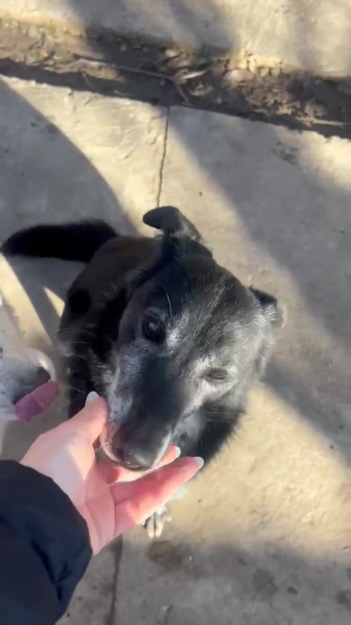 Thumbnail: Jess, 2015