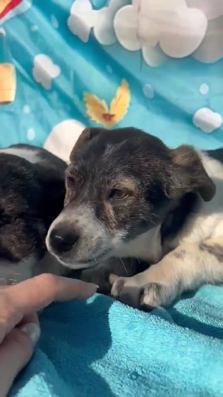 Thumbnail: Bobby, Oct 2024