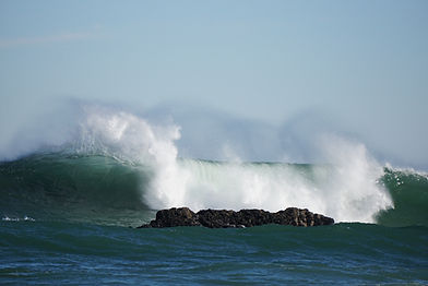 DSC01265_edited.jpg