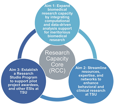 RCC Aims