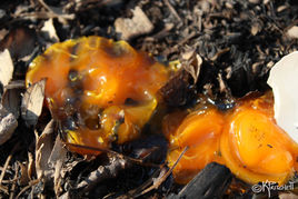 Lost in Random-7.jpg