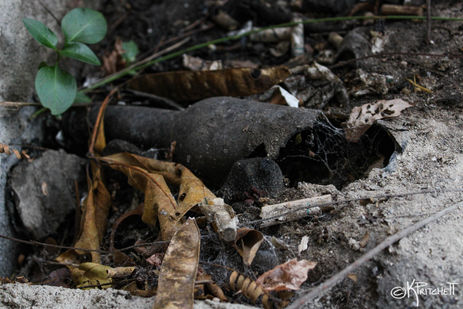 Lost in Random-4.jpg