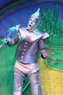 Tin Man