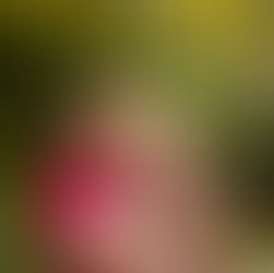 Joanna & Brad | Engagement